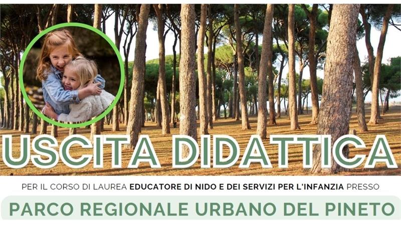 Escursioni didattiche al Parco regionale urbano del Pineto - edizione a.a. 2024/2025