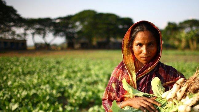 17th Opening Ceremony of the Master in Human Development and Food Security - 19th October 2020