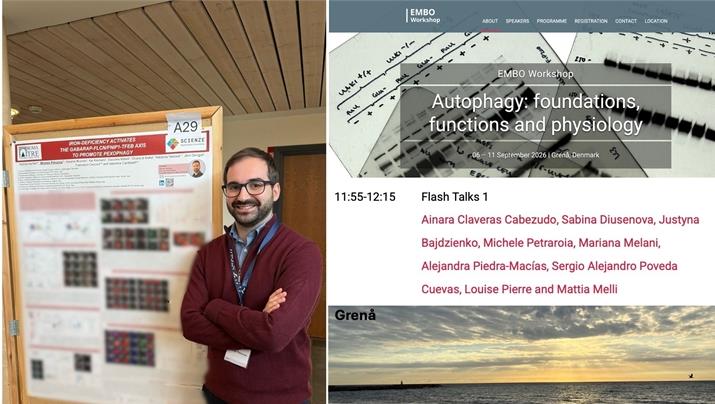Flash talk di Michele Petraroia all’EMBO Workshop sull’autofagia