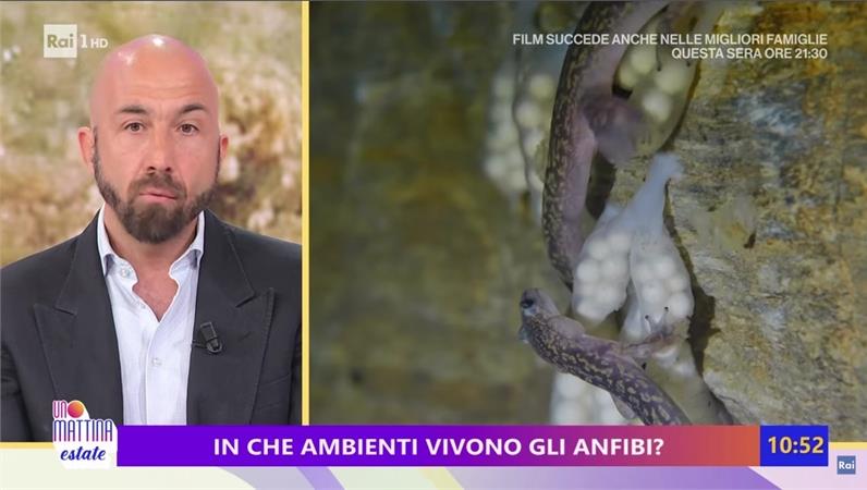 Il prof. Vignoli, ospite di Unomattina Estate, parla di anfibi rari