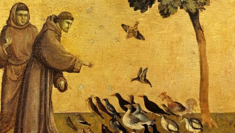 800 Anni dal transito di San Francesco d'Assisi (1226 - 2026).  Esposizione di libri in Biblioteca di Scienze della Formazione