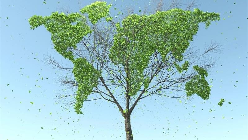 Nuovo insegnamento sull’Agenda 2030 per lo sviluppo sostenibile