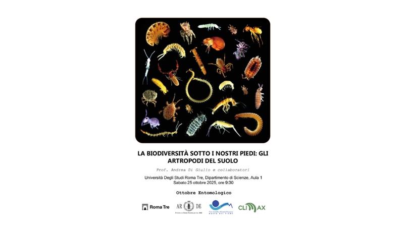 La biodiversità sotto i nostri piedi: gli artropodi del suolo