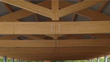 Complementi di progettazione strutturale – strutture in legno 