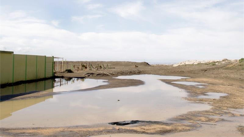 Giornate di Studi Prin COSTA|Med 2026