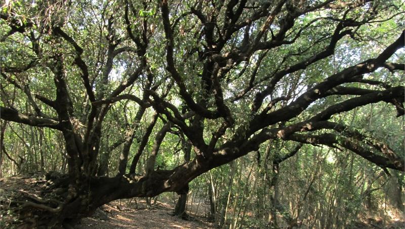 Il primo Film lab per raccontare la biodiversità