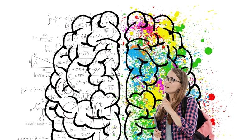 Hippocampe di Matematica