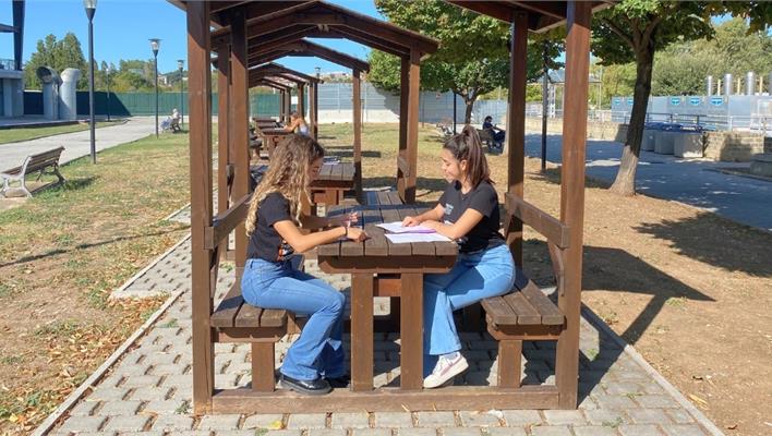 Gruppi di Studio con i Tutor A.A. 2026/2027