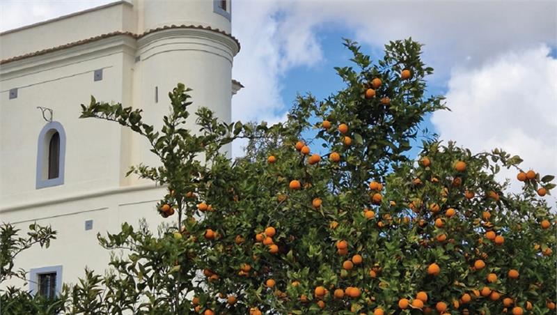 Conferenze aperte Master ARPA