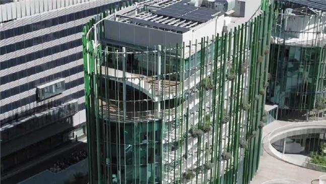 Giornata internazionale per l’eliminazione della violenza contro le donne: 