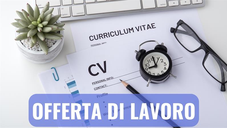 Offerta di lavoro HCL SOFTWARE ITALY