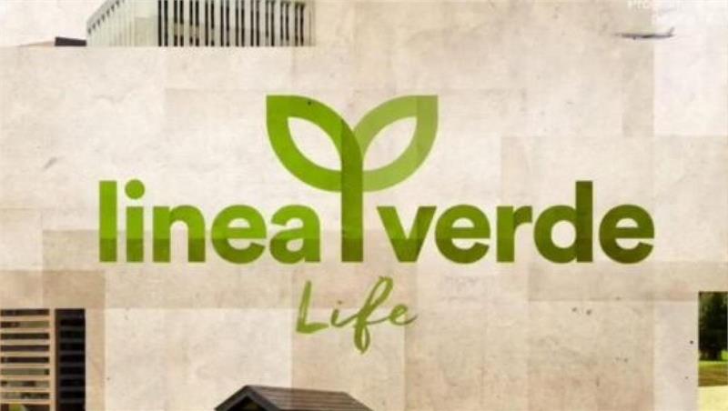 Linea Verde Life