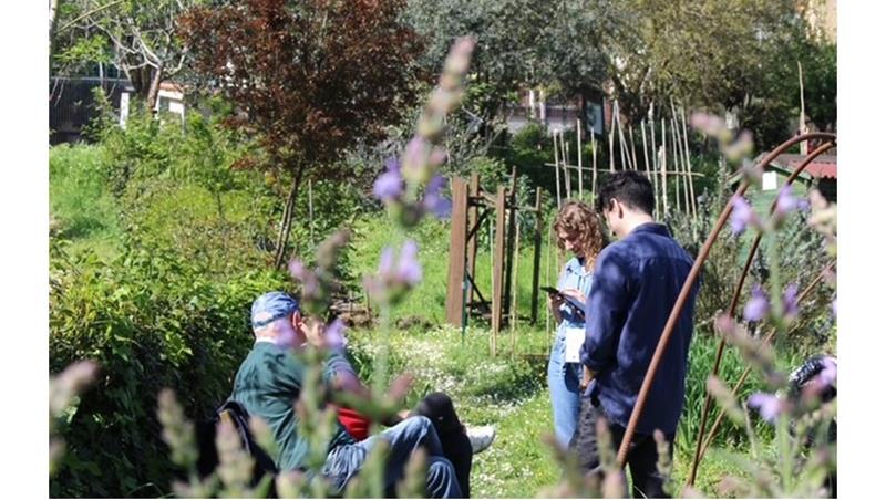 Orti urbani comunitari: quale valore per la città?