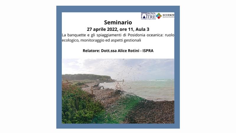 Seminario: La banquette e gli spiaggiamenti di Posidonia oceanica: ruolo ecologico, monitoraggio ed aspetti gestionali 