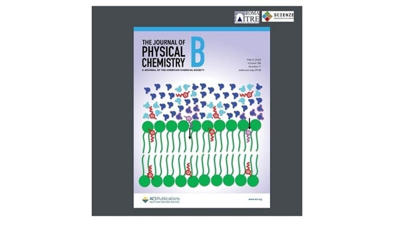 La ricerca del prof. Antonio Benedetto sulla copertina di “The Journal of Physical Chemistry B”