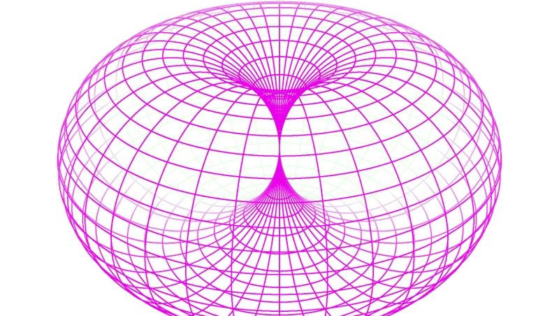 Reconstructing curves from their Hodge classes