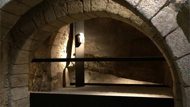 Voci dal Patrimonio #5