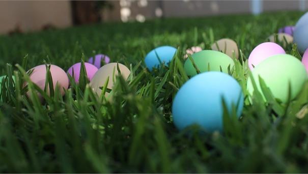 Festività Pasquali - Sospensione Attività Didattica
